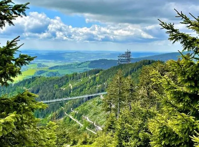 Nikola